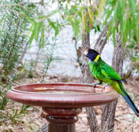 Caves Road Chalets - Local Tourism