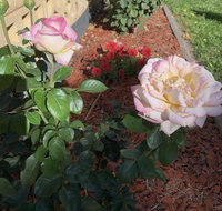 Central Tranquility - Accommodation Australia