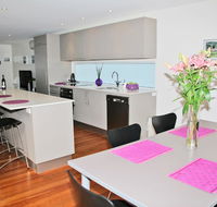 Cerulean Blue Combo - Australia Shopping