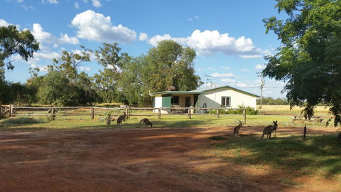 Charleville Bush Cottage - Local Tourism 1