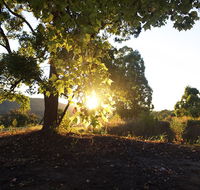 Clarendon Forest Retreat - Accommodation Australia