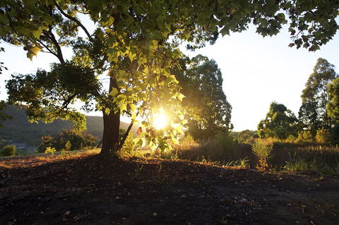 Clarendon Forest Retreat - Accommodation Australia 0