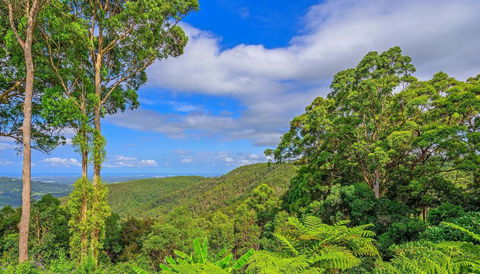 CLOUD 9 - Cliff Top Eagle Heights - Accommodation Australia 3