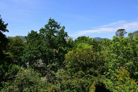 Cloudsong Chalet 3 - Close To The Village Centre! - Local Tourism 2