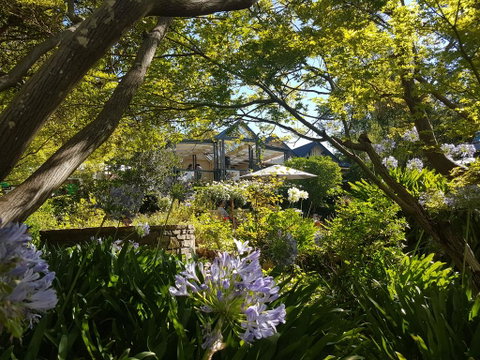Cobb's Hill Homestead - Local Tourism 1