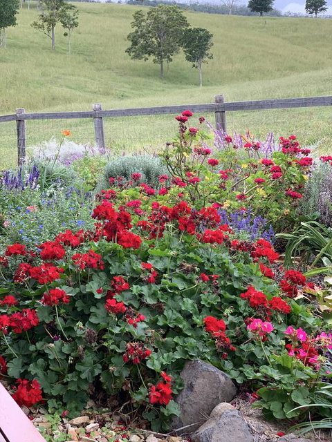 Country Mile Escape - Australia Shopping 0