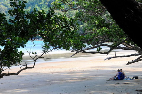 Cow Bay Homestay B&B - Accommodation Australia 1