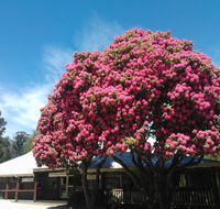 Crossways Country Inn - Accommodation Australia