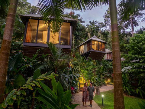 Daintree Ecolodge - Local Tourism 0