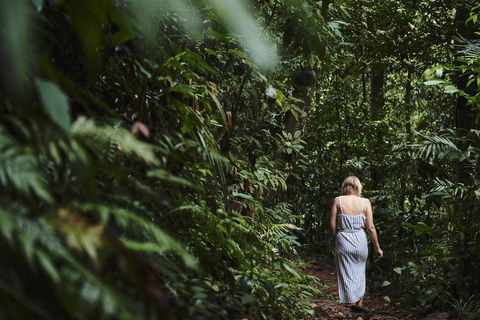 Daintree Ecolodge - Local Tourism 2