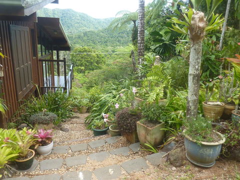 Daintree Holiday Homes - The Folly - Accommodation Australia 0