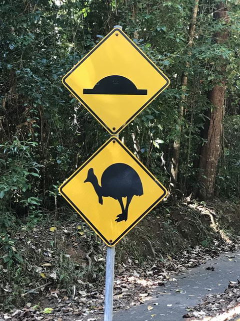 Daintree Magic - Accommodation Australia 1