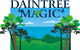 Daintree Magic - thumb 3