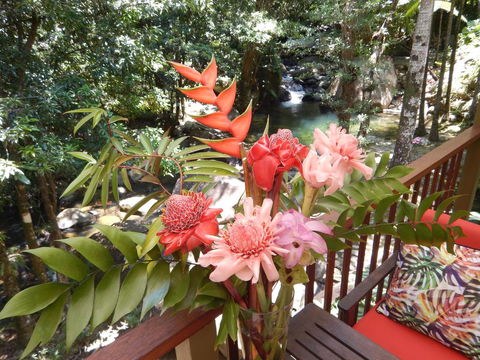 Daintree Secrets Rainforest Sanctuary - Australia Shopping 1