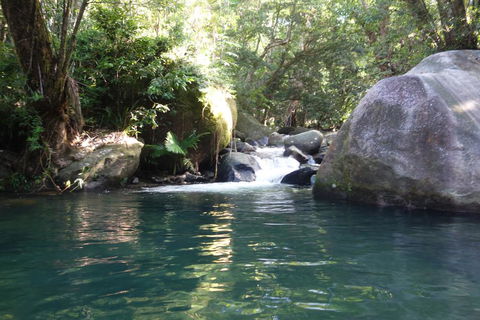 Daintree Secrets Rainforest Sanctuary - Australia Shopping 0