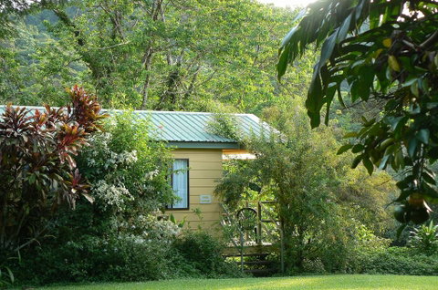 Daintree Valley Haven - Accommodation Australia 0