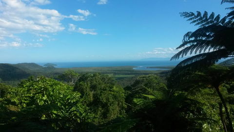Daintree Village Hideaway - Local Tourism 1