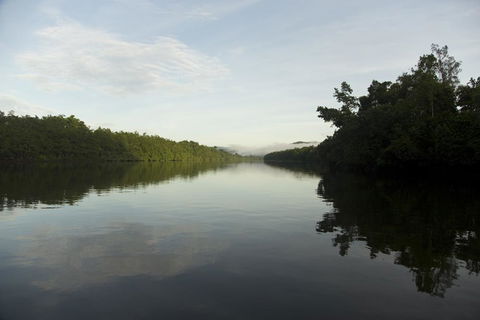 Daintree Village Hideaway - Local Tourism 2