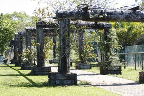 Daintree Wild Bed & Breakfast - Accommodation Australia 2
