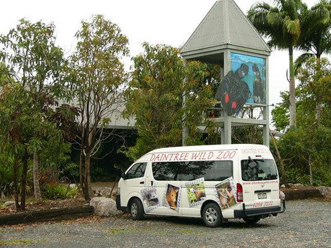 Daintree Wild Bed & Breakfast - Accommodation Australia 0