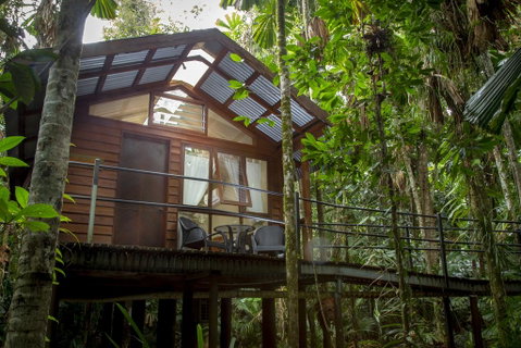 Daintree Wilderness Lodge - Accommodation Australia 2