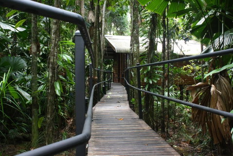 Daintree Wilderness Lodge - Accommodation Australia 0
