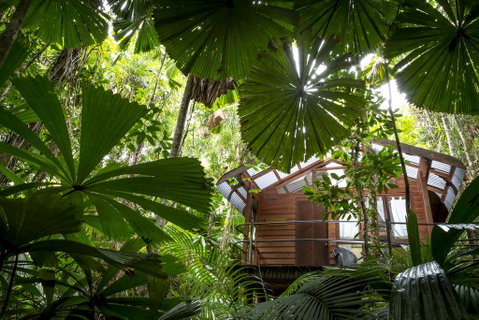Daintree Wilderness Lodge - Accommodation Australia 1