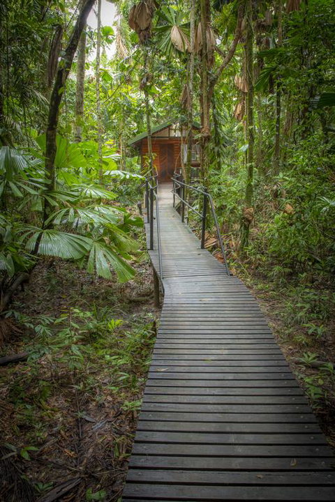 Daintree Wilderness Lodge - Accommodation Australia 3
