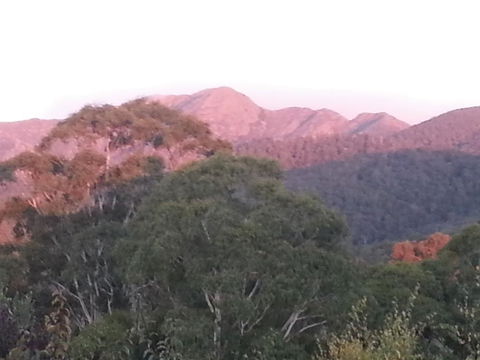 Day Dream Cottage - Accommodation Australia 2