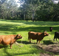 Dingley Dell - Accommodation Australia