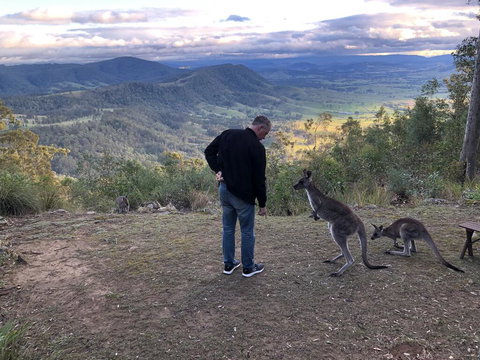 Eagleview Resort - Accommodation Australia 2