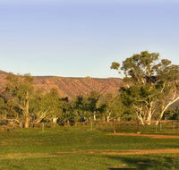 Edeowie Station - Accommodation Australia