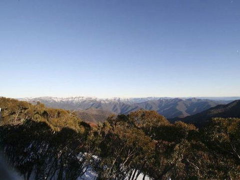 Elkhorn 7 - Accommodation Australia 0