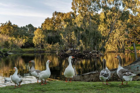 Empire Spa Retreat - Accommodation Australia 2