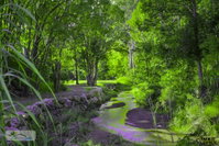 Book Esk Accommodation Vacations Accommodation Australia Accommodation Australia
