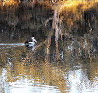 Euston Club Motel - Australia Shopping