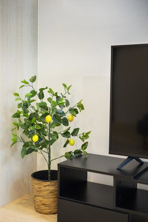 Everhome Melbourne Village 603 - Local Tourism 3