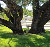 Farm Stay Studio - Australia Shopping