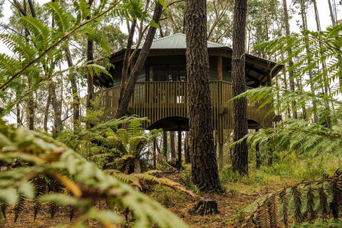 Federation Gardens & Possums Hideaway - Bed n Breakfasts 2