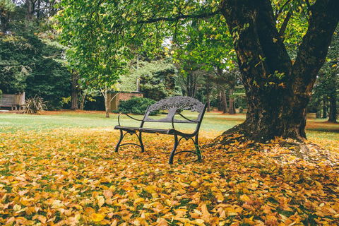 Federation Gardens & Possums Hideaway - Bed n Breakfasts 1