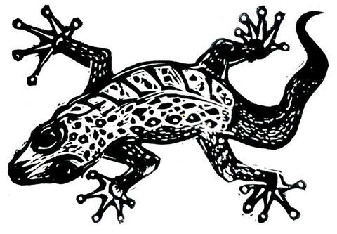 Gecko Guest House - Local Tourism 3