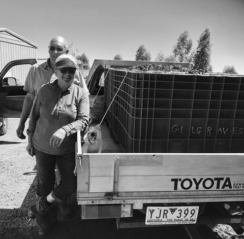 Gilgraves Vineyard Farmstay - Australia Shopping 2