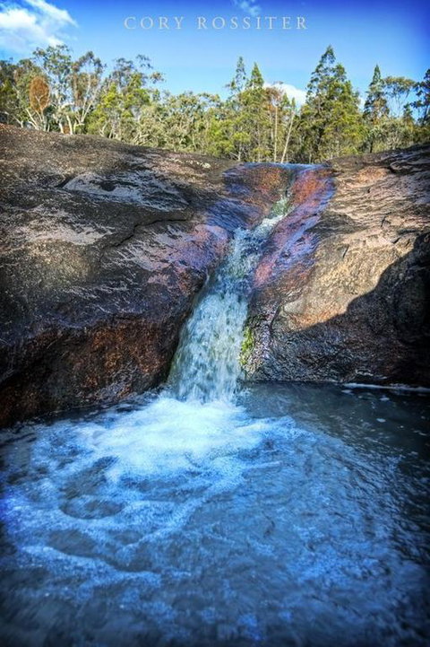 Girraween Environmental Lodge - Australia Shopping 3
