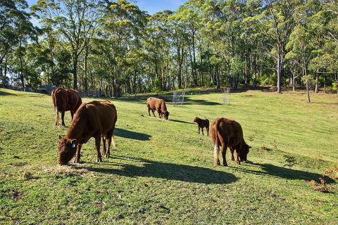GOWAN ROSS COTTAGE - Local Tourism 1