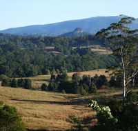 Grey Gum Lodge - Australia Shopping