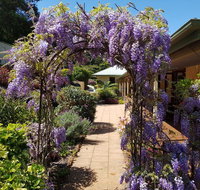 Gumtree House Montville - Australia Shopping