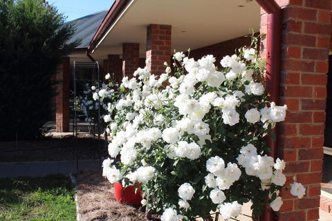 Gundaroo Manor Bed & Breakfast - Australia Shopping 3