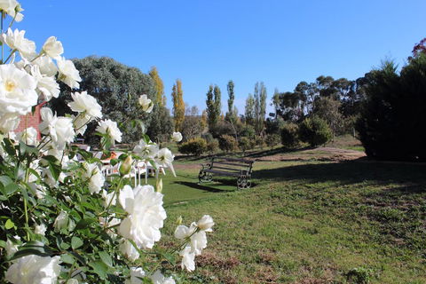 Gundaroo Manor Bed & Breakfast - Australia Shopping 2