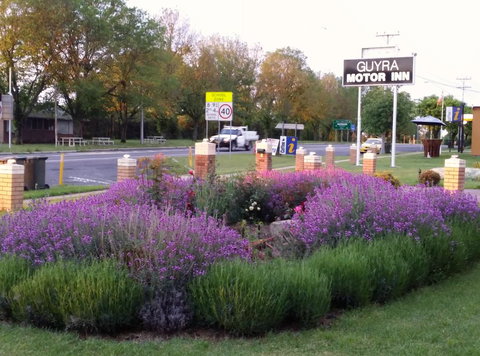 Guyra Motor Inn - Australia Shopping 1