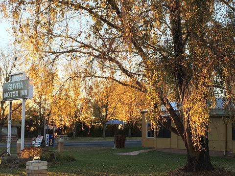 Guyra Motor Inn - Australia Shopping 2